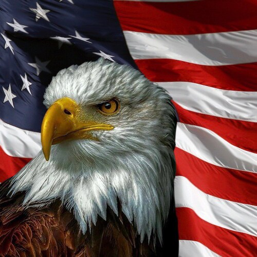 Conservative Patriot getting involved to purge the scourge.  Return God to our schools.  Protect free speech and the rig...