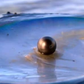"Celui qui contrôle la Peur des gens devient le Maître de leurs âmes" Machiavel