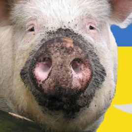 Visit HohliDegenerati's profile on GETTR. View their posts, photos, videos, and connect with them on the social platform.