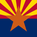 Arizona Audit