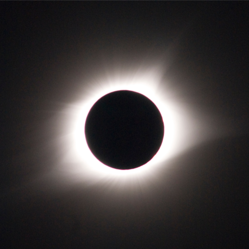 Visit Dr_Rox 🍊 🇺🇸's profile on GETTR. View their posts, photos, videos, and connect with them on the social platform.