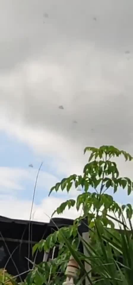 突发：汕头外砂机场，部队降伞！

台湾一定小心了。