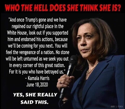 @stevebannon They came right out and told us they were going to attack any political
opposition.