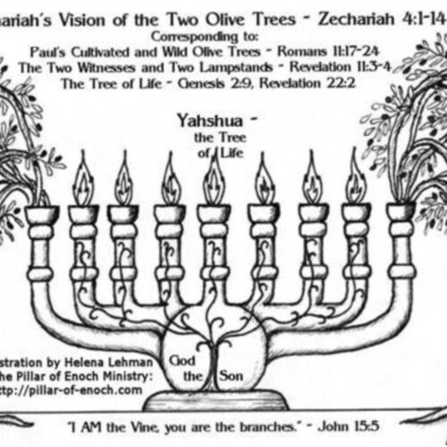 Maybe a little Polish, Hispanic, Speaks only English, love my culture and family, Husband, Father, Brother, Son, Proud A...