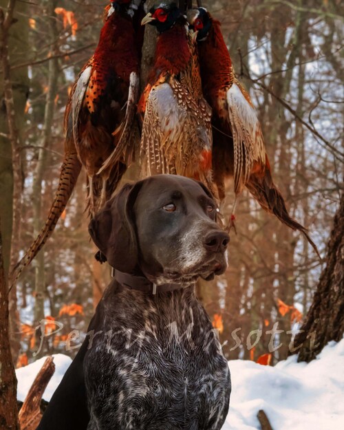 View perry1776's post on GETTR. Join the discussion, share your thoughts, and connect with the community.