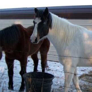 🍊Just someone from the middle of nowhere watching and listening to all of the lies.