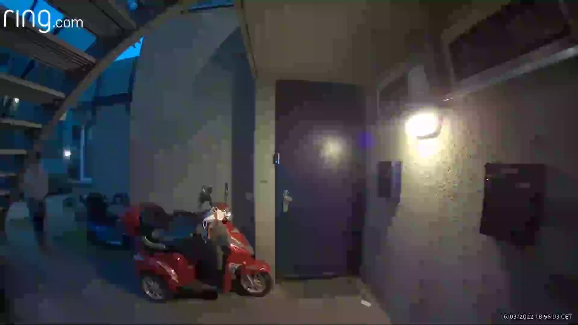 View BlauTV's post on GETTR. Join the discussion, share your thoughts, and connect with the community.