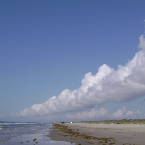 An American Patriot.