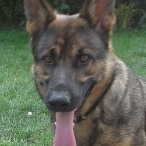 Visit AESysteme's profile on GETTR. View their posts, photos, videos, and connect with them on the social platform.