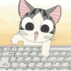 🐾America 1st Cat 🇺🇸 I Follow Back All ♥️