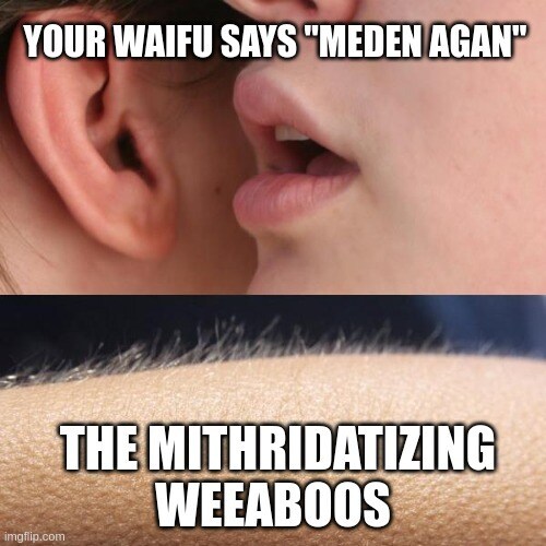 Mithridatizing [ミスリダティジング] present participle of mithridatize

Meden agan (Greek phrase) nothing in ...