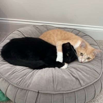 CCP is not the legitimate government of China.
CCP cannot represent Chinese people.
Chinese people need freedom, democra...