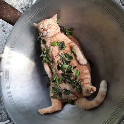期待振臂一呼的那一刻.中国人民解放了！