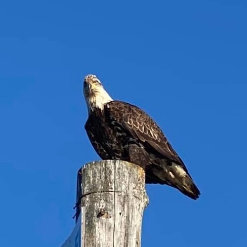 Visit jotto's profile on GETTR. View their posts, photos, videos, and connect with them on the social platform.