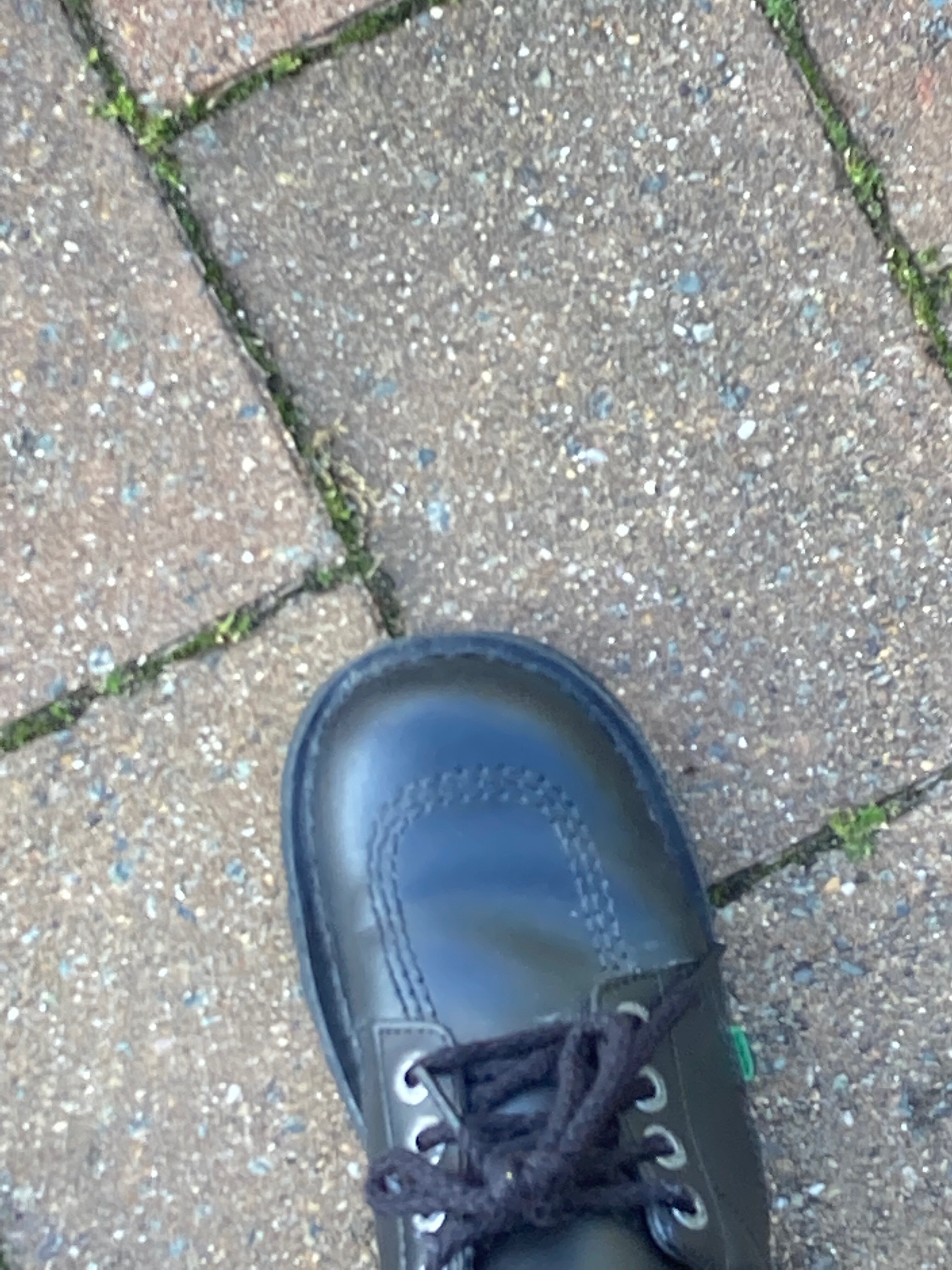 look at my school shoe. yeah. examine it. look at every precise detail.