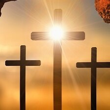 Christian, small business owner who loves God and our country.