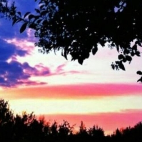 Proud American Trucker willing and able to fight for our God Given Rights & Liberties Proud Vietnam Vet            "Don'...