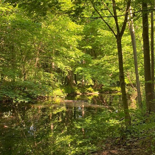 Visit SH2712's profile on GETTR. View their posts, photos, videos, and connect with them on the social platform.