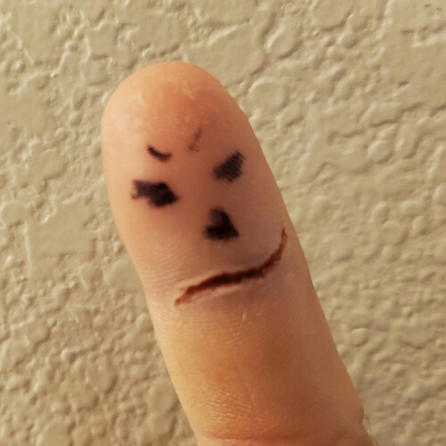 See me hangin out the window on the highway