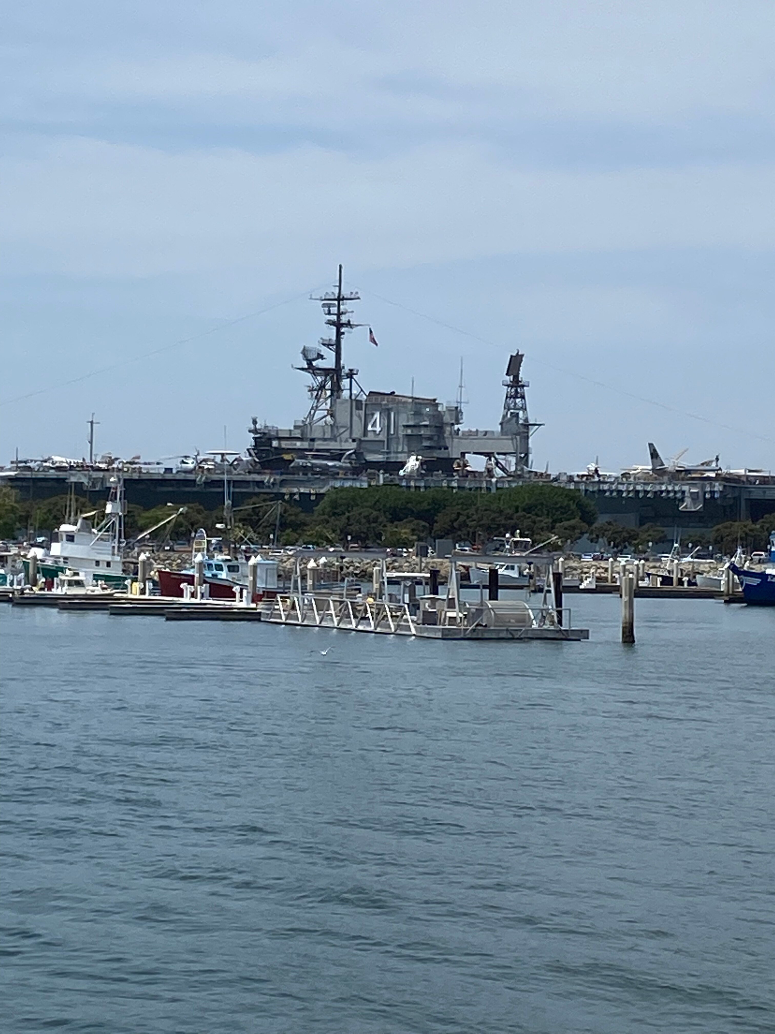 View travisntina's post on GETTR. Join the discussion, share your thoughts, and connect with the community.