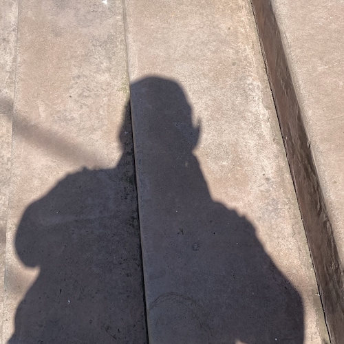 My posts are for entertainment. I do not vouch for their veracity. Content assumed public domain.  Not intended for inti...