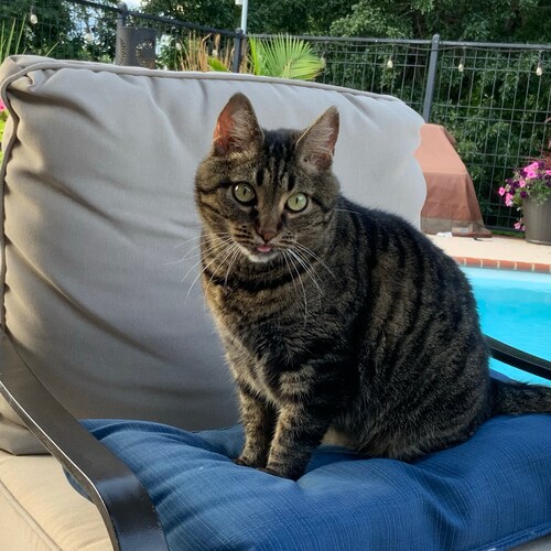 Love History, Love freedom