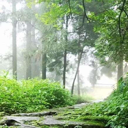 Visit 鹰之眼's profile on GETTR. View their posts, photos, videos, and connect with them on the social platform.