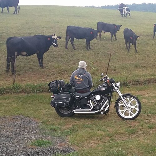 we hold these truths to be self evident that all men are created equal. they are endowed by their creator with certain u...