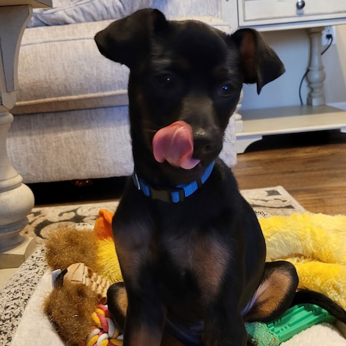 Walking liberals away from communism one question at a time.