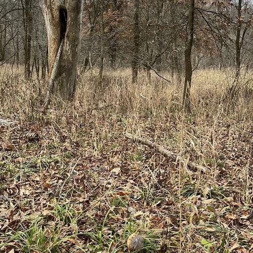 God, family, country.