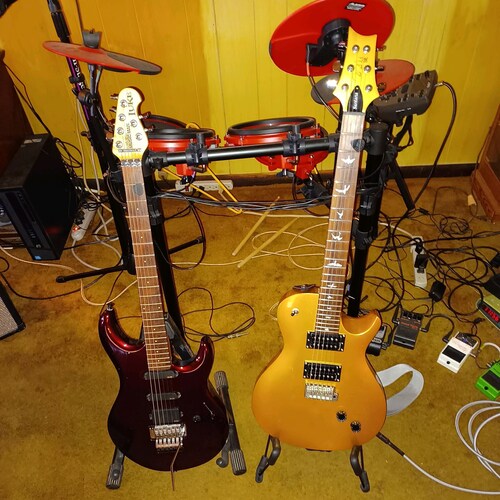 Retired, Widow,Patriot, liberal Hating Musician.