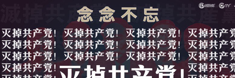 unique pig(文卿)