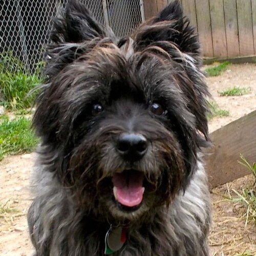 Christian, Jesus follower, American and proud of it! wife, pro2A, pro life, pro Israel, dog and horse lover.