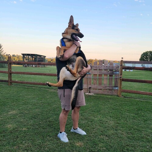 Senior Political Science Major at Appalachian State University.