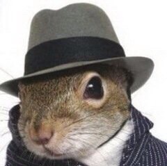 Vigilabo ego sum vobis 🕵🏻‍♂️🤫🐿 On the inside? Saw something? Say something. SecretActual@protonmail.com