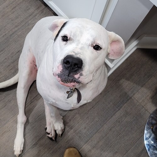 Corps Country Family 👪