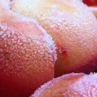 Will NOT silence the truth.