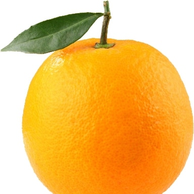 LET'S GO BRANDON!!
Logic and common sense

Wife/Mother/Proud American 🇺🇸
Truth, Justice & the American Way
🙏Save Amer...