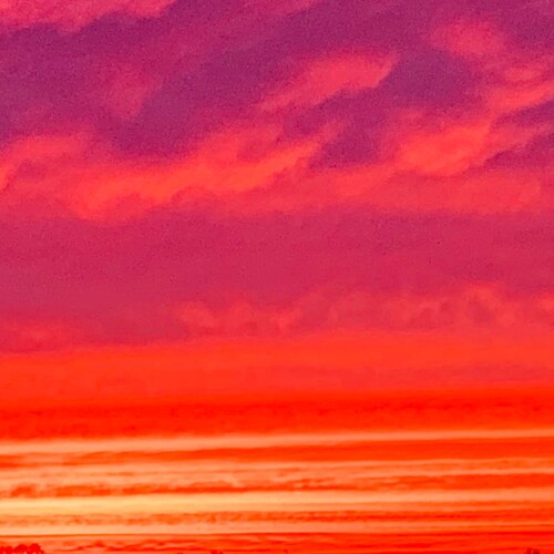 Visit msadie04's profile on GETTR. View their posts, photos, videos, and connect with them on the social platform.