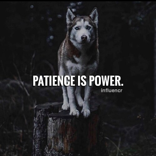 Dad,RRT,Christian, U.S. Army Veteran, Pure Blood,Patriot, Constitutional Conservative, Loathe Globalist-Progressive Tyra...