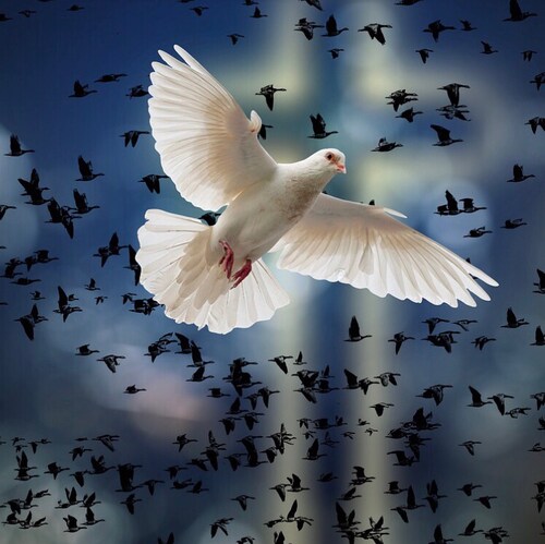 Proud patriot, wife and mother! Proud daughter of a Korean War veteran. Fight for our freedom. Let’s  Save America! 🇺🇸...