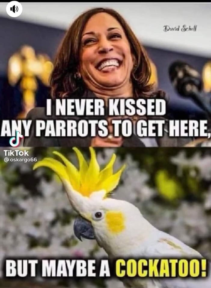 🤣😂morning patriots! 🇺🇸 