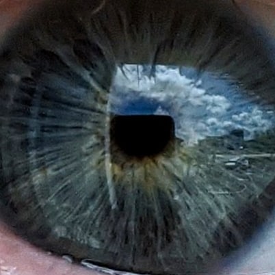 Visit CitizenD's profile on GETTR. View their posts, photos, videos, and connect with them on the social platform.