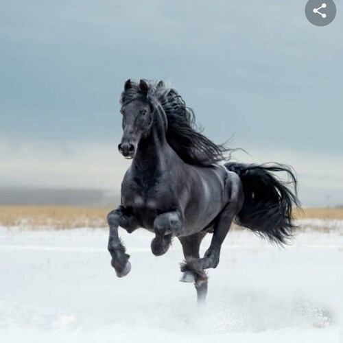 Visit Nefitara's profile on GETTR. View their posts, photos, videos, and connect with them on the social platform.