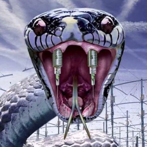 Symptomlos erkrankt- die Nichtsymptome sind vielleicht auch virtuell ansteckend