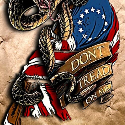 Single Parent to a wonderful kiddo! Conservative, PUREBLOOD, Trump WON! MAGA, Pro Constitution!, Pro 2A! By the way the US Flag is RED, WHITE, and BLUE....