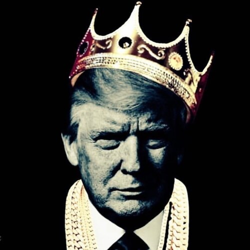 Vengeance for 2020🤬 TRUMP is the Greatest Ever! ULTRA MAGA since 05/2015! Had HUGE FAMOUS ACCTS, now BANNED on IG,FB,X. MMA,Boxing, BJJ. Pure🩸👊💥🇺🇸