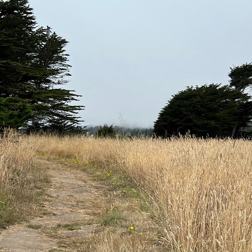 L is for Liberty. 
I love Jesus and conservative principles. But here in California, with these meatheads, I can get a l...