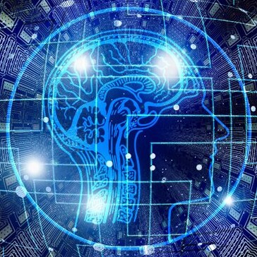 any quotations are not mine and are merely highlighted for their lunacy.  typos not optional.  sarcasm required.