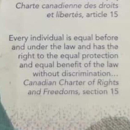 Visit Pureblood3's profile on GETTR. View their posts, photos, videos, and connect with them on the social platform.